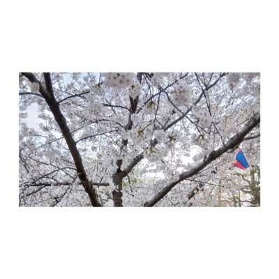あきの写メ