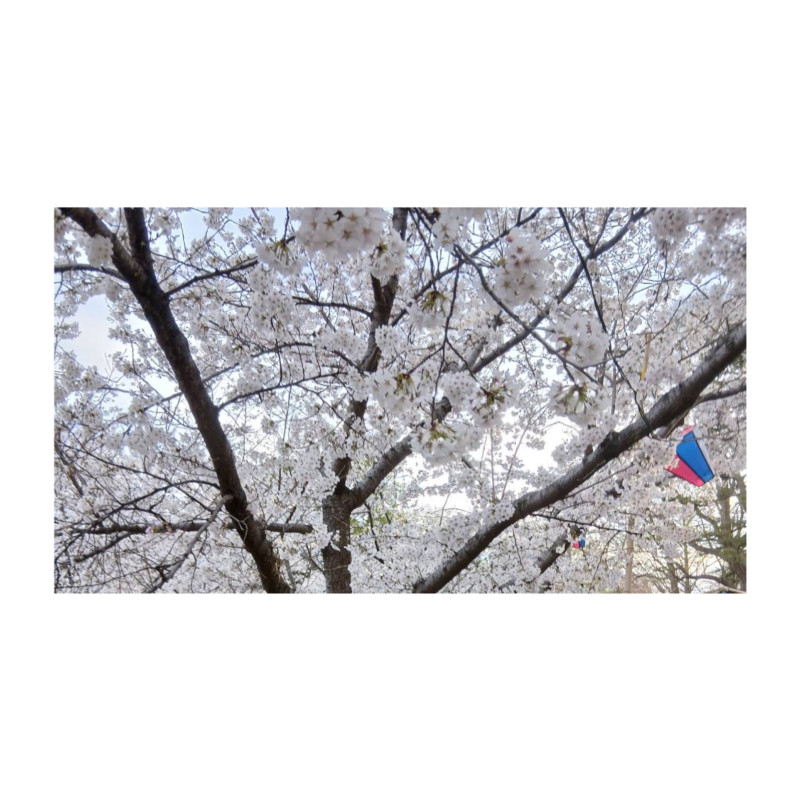 あきの写メ