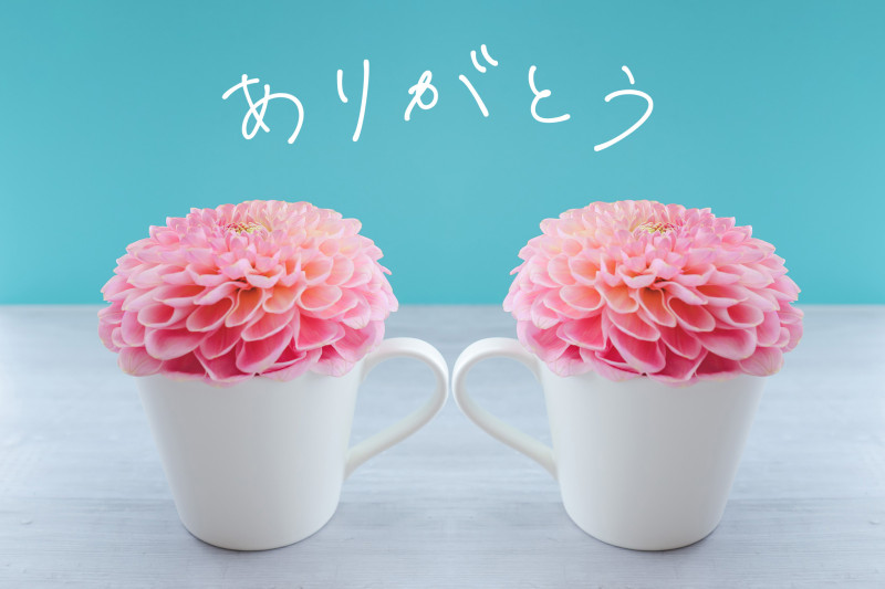 りょうの写メ