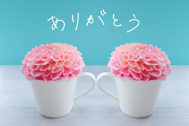りょうの写メ