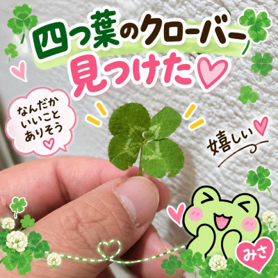 みさの写メ