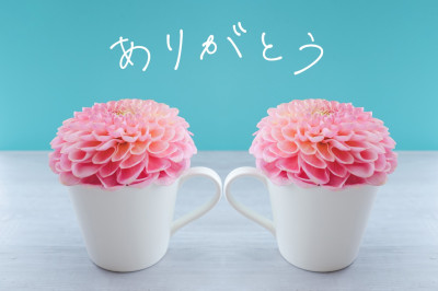 りょうの写メ