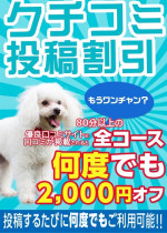 口コミ投稿割引2000円オフ！